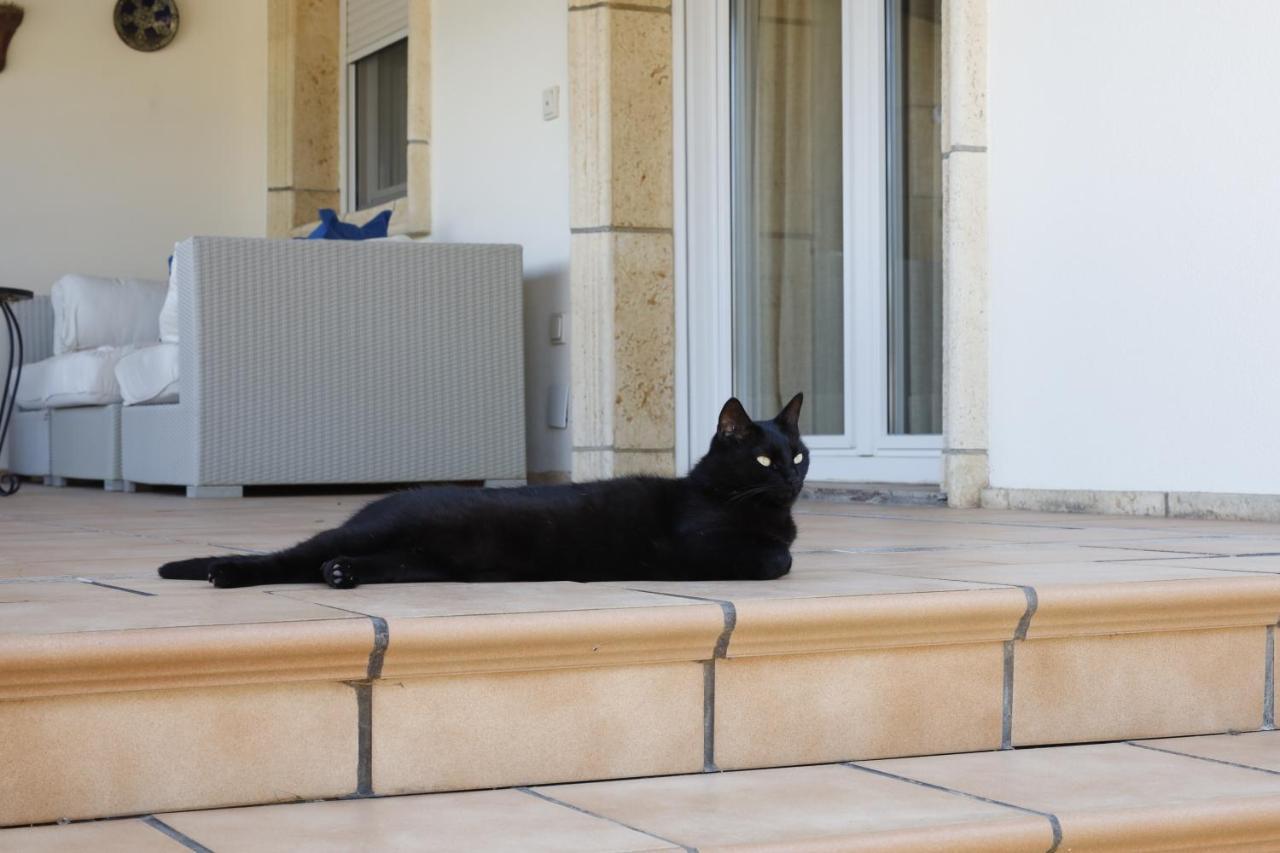 Villa Tres Palmeras En Alfaz Del Pi , Albir, Benidorm L'Alfas del Pi Bagian luar foto